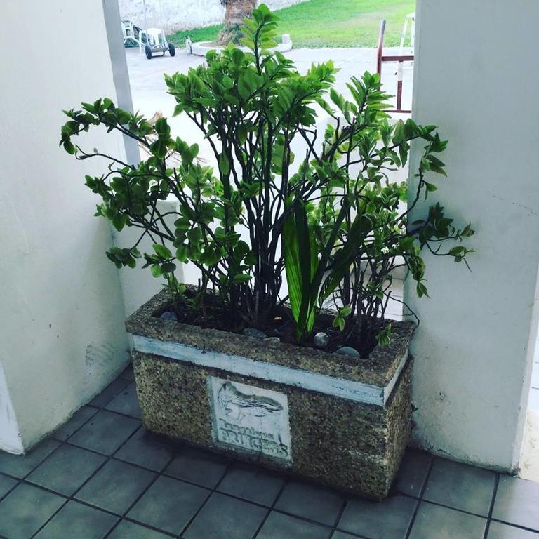 Bucerías Suites Princess מראה חיצוני תמונה